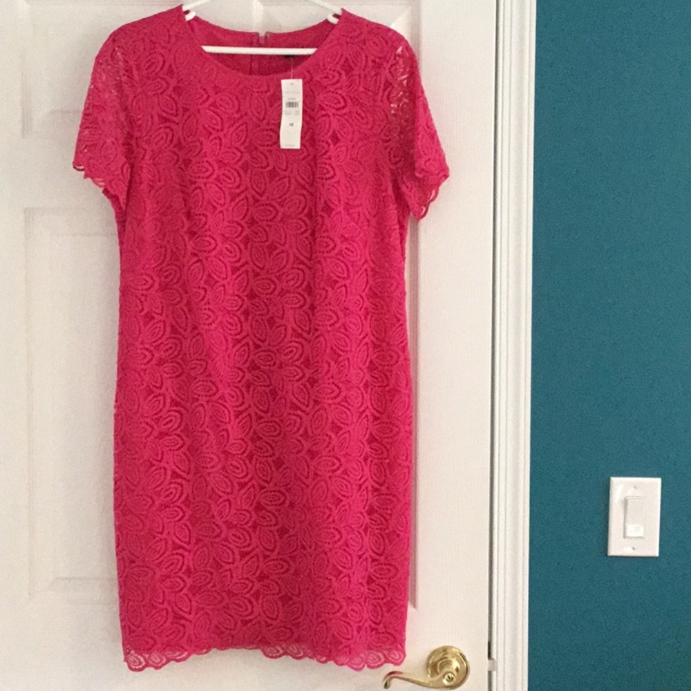 NWT Ann Taylor lace lined short sleeve dress